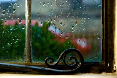 2185464520_0298f9e4af_z