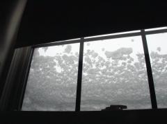 snow_through_window