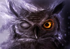 night_owl_by_delun-d4hxz5t