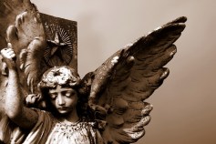 7269677d3f49f9db106f2e87978e7076