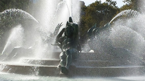 20141024_144628.jpg image