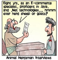 HerdsmanInterview
