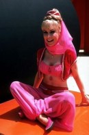 I-dream-of-jeannie-i-dream-of-jeannie-32795107-295-450