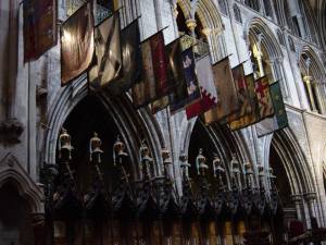 10988492_10206365555082857_247191983169377501_n