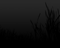 black-grass-wallpaper-1280x1024