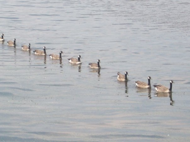 1915525_1214492607587_5187738_n