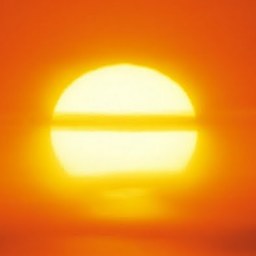 Dear Journal: Some Like It Hot