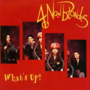4-non-blondes-whats-up-1993