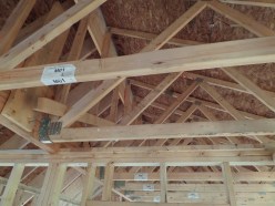 SAMSUNG CAMERA PICTURES